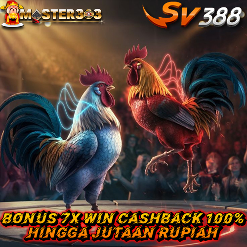 SV388 # Link Agen Sabung Ayam Online Terbaru Live Wala Meron